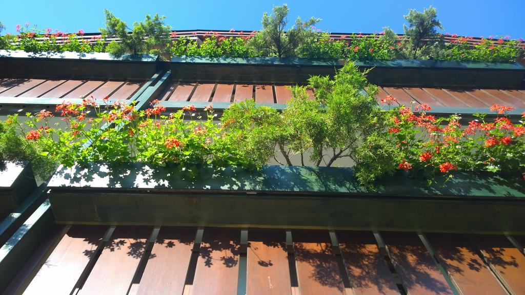 La Felce Bed & Breakfast كاريسولو المظهر الخارجي الصورة